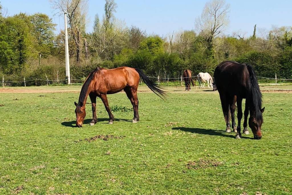 Maisonnette Du Haras De L'olivier *